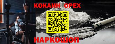 индика Аргун