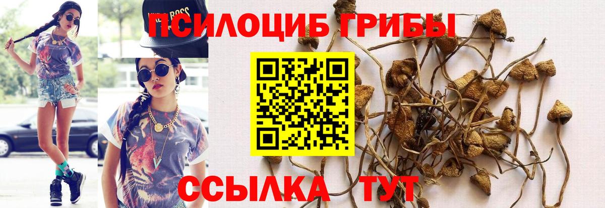 Псилоцибиновые грибы Magic Shrooms  Соликамск 