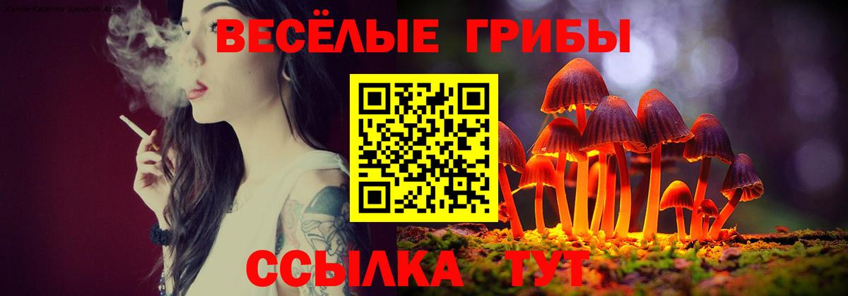 Галлюциногенные грибы Psilocybine cubensis Соликамск